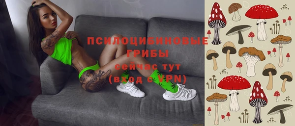 винт Алзамай