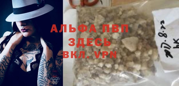 гидра Алексин