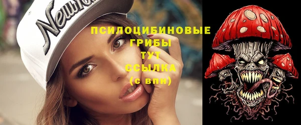 винт Алзамай