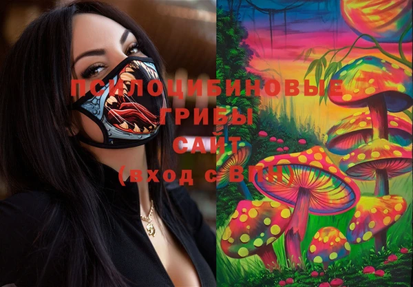гидра Алексин