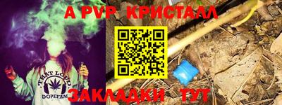 a pvp Гагарин