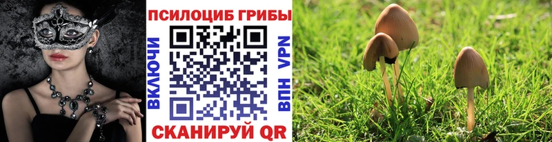 Псилоцибиновые грибы ЛСД  купить   Санкт-Петербург 