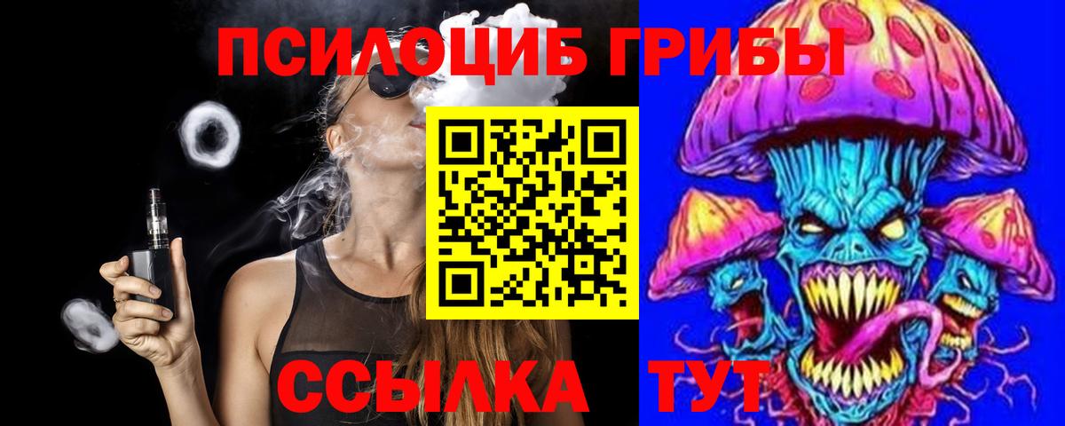 дарнет шоп  Псилоцибиновые грибы Psilocybine cubensis  Санкт-Петербург  Вход с VPN  Галлюциногенные грибы прущие грибы 