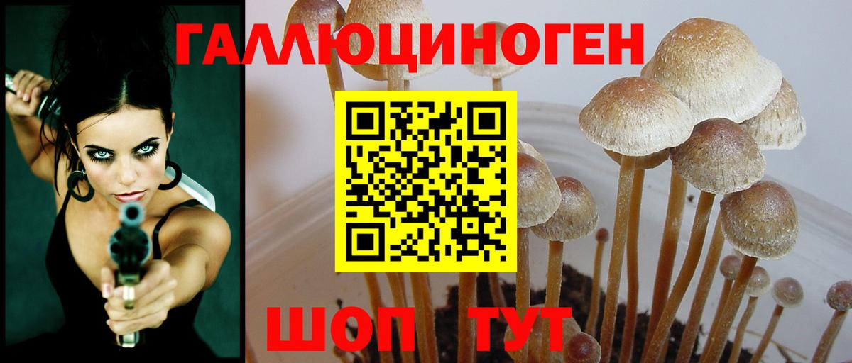 Галлюциногенные грибы мицелий Санкт-Петербург